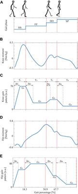 Effects of stance control via hidden Markov model-based gait phase detection on healthy users of an active hip-knee exoskeleton
